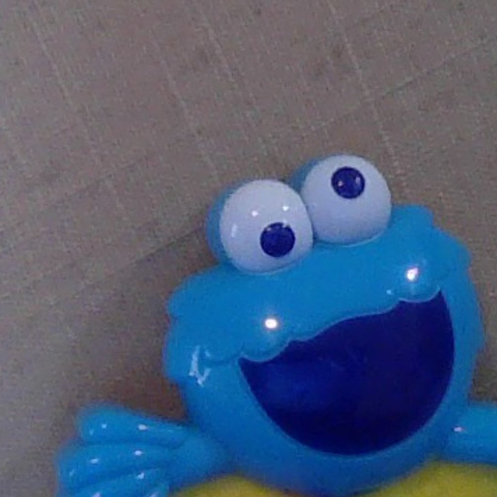 cookie monster baby toy